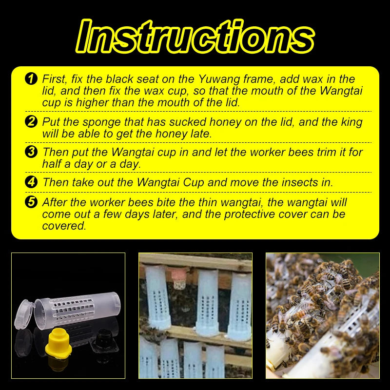 1 Set Beekeeping Cages King Queen Rearing System Plastic Bee Catcher Box Cell Cups Complete Kit Apicultura Tools Supplies