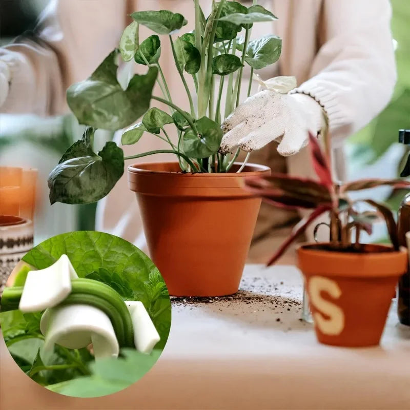 10-100PCS 90 Degree Plant Benders Reuseable Plant Growth Trainer Low Stress Training Clip Plant Stem Bender Control Accessories