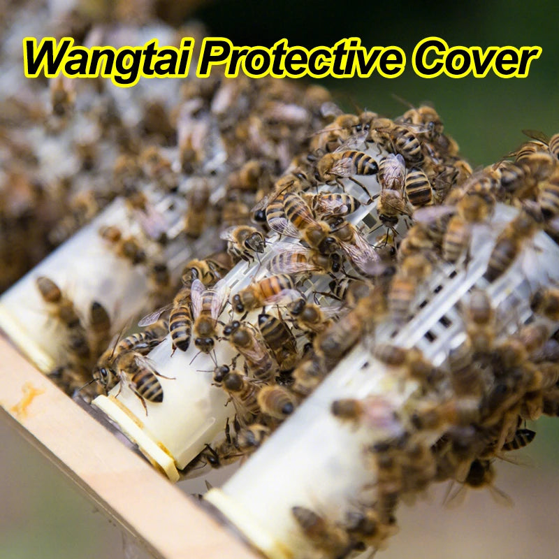 1 Set Beekeeping Cages King Queen Rearing System Plastic Bee Catcher Box Cell Cups Complete Kit Apicultura Tools Supplies