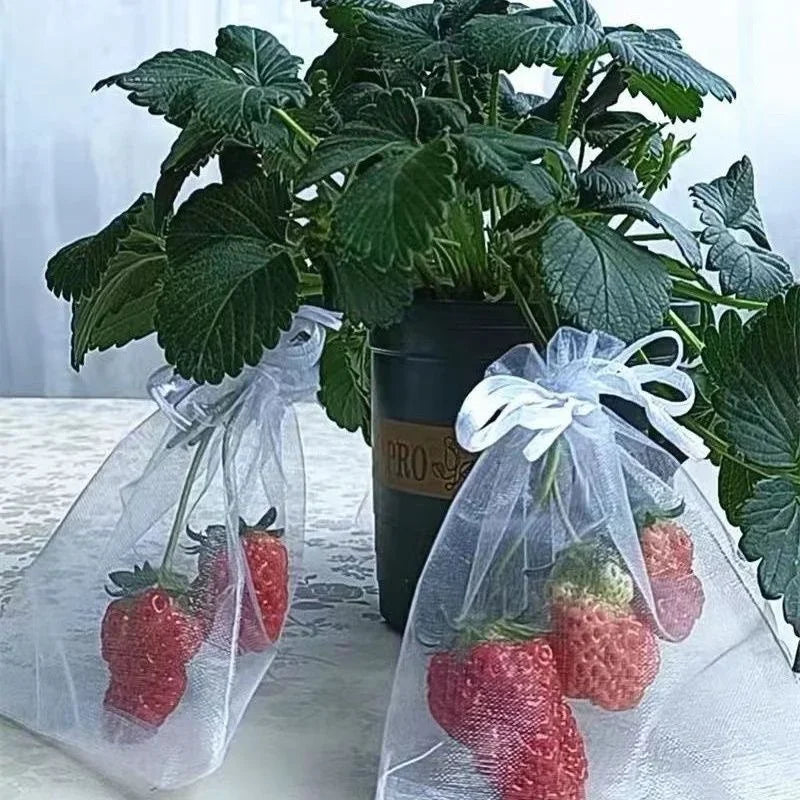 100pcs Fruit Protection Bags Anti-Bird Garden Netting Bags Strawberry Grapes Mesh Bag Plante Vegetable Netting Cover Garden Tool